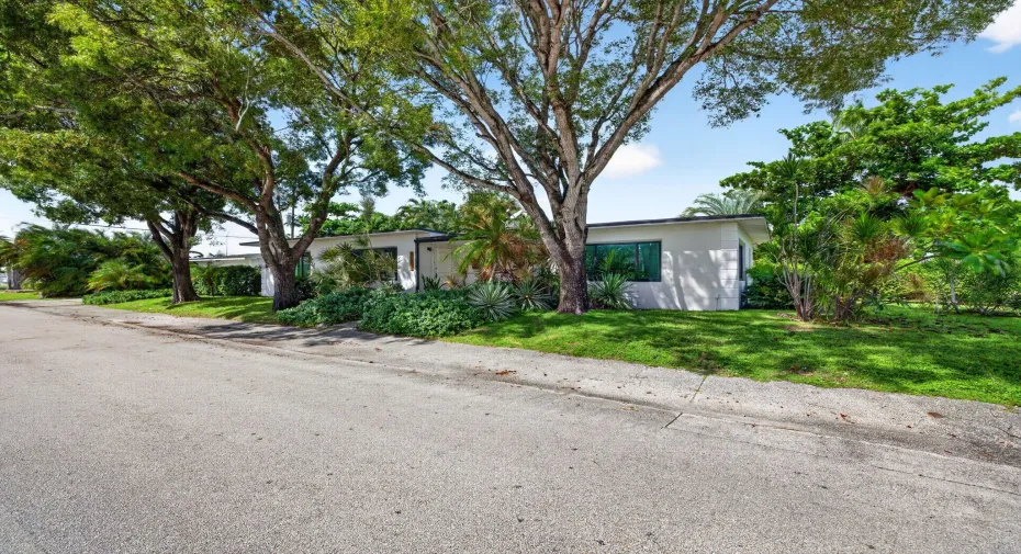 1-web-or-mls-699A2125