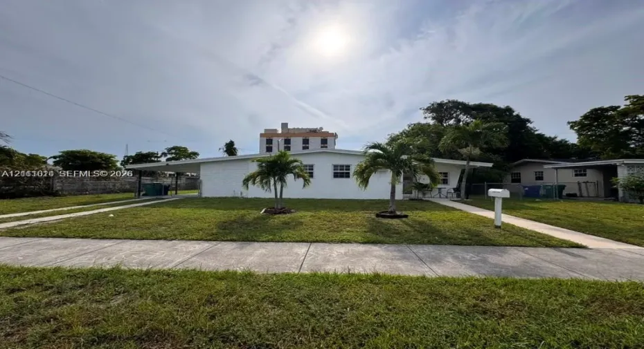 Single-story exterior featuring a painted masonry facade, flat roofline, attached covered carport, concrete walkway, and mature palm trees
