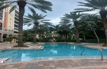 Swimming pool with paver decking, surrounding palm trees, and metal handrails