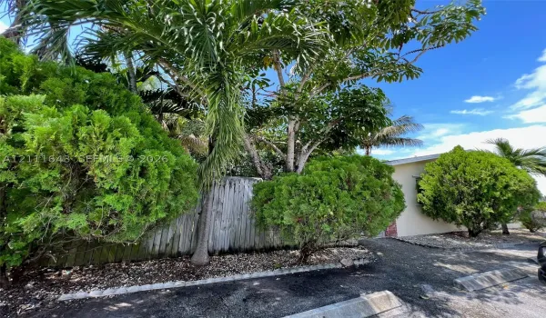 Exterior grounds featuring mature palm and evergreen trees, wood-slat fencing, and decorative stone landscaping