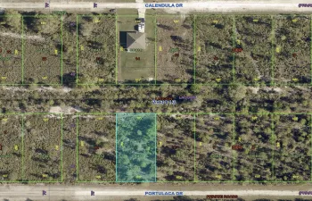 1022 Portulaca Dr