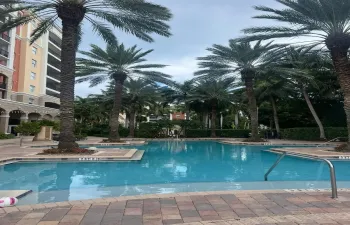 Swimming pool with paver decking, surrounding palm trees, and metal handrails