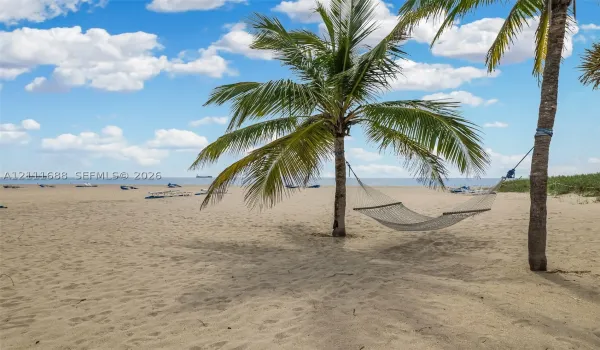 Private sandy shoreline featuring mature palm trees and direct water access