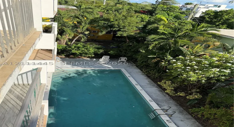 Rectangular in-ground swimming pool with metal ladder access and concrete pool deck, framed by mature trees and lush vegetation