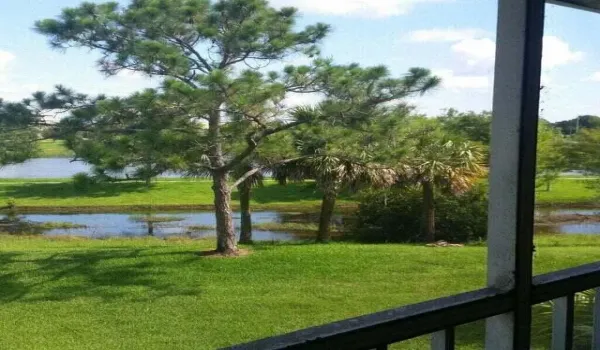 Royal green 3