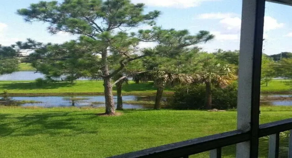 Royal green 3