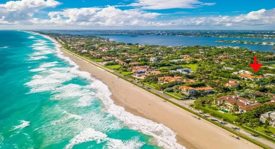 Palm Beach Paradise