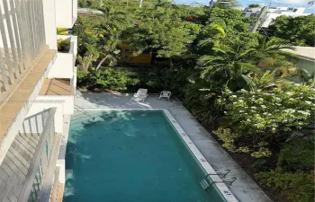 Rectangular in-ground swimming pool with metal ladder access and concrete pool deck, framed by mature trees and lush vegetation