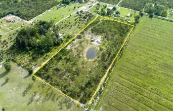 Expansive acreage featuring mature trees, natural vegetation, and an on-site pond