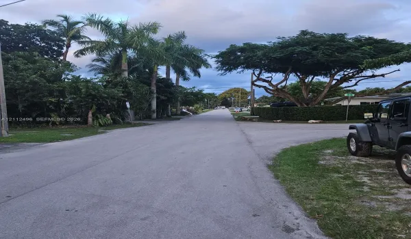 Streetscape featuring established palm trees, mature canopy trees, and manicured perimeter hedges