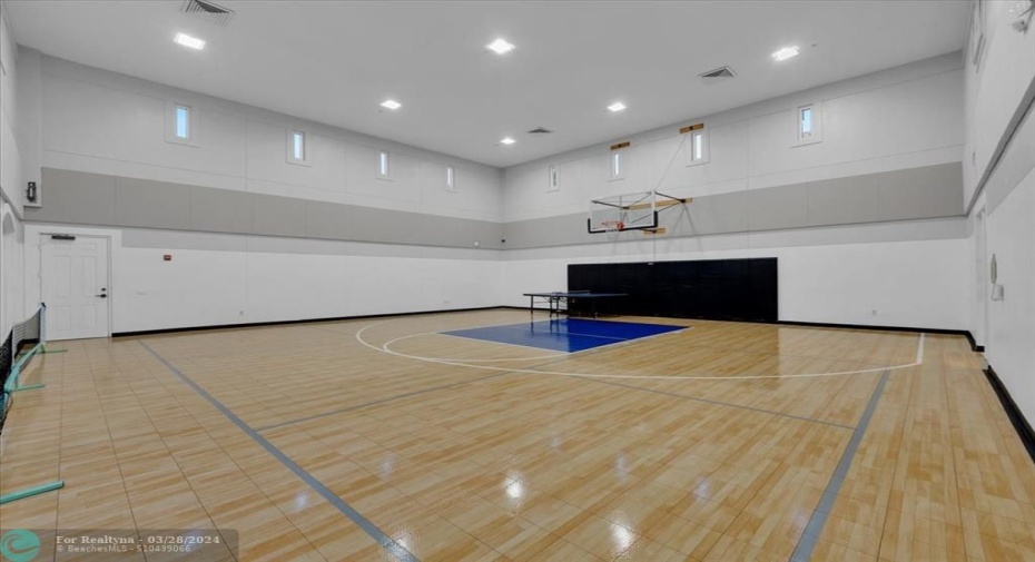 Basket Ball Court