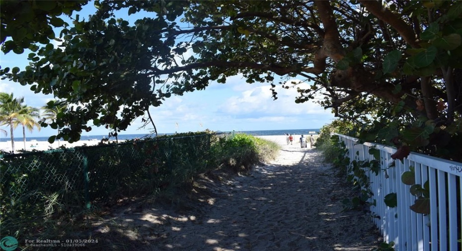 Beach Path