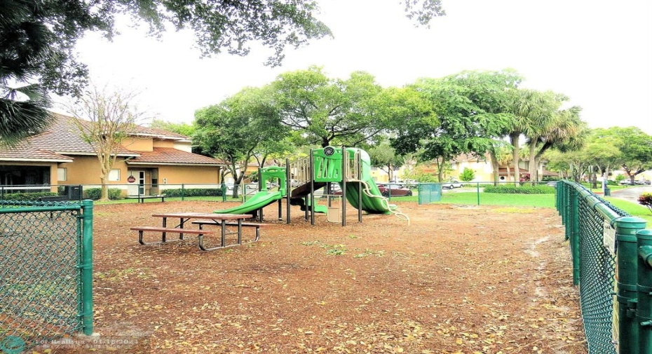 Play Area