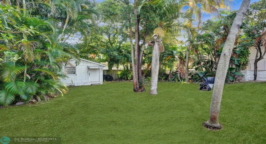 Backyard with Room for Pool. The grass is virtualy staged.