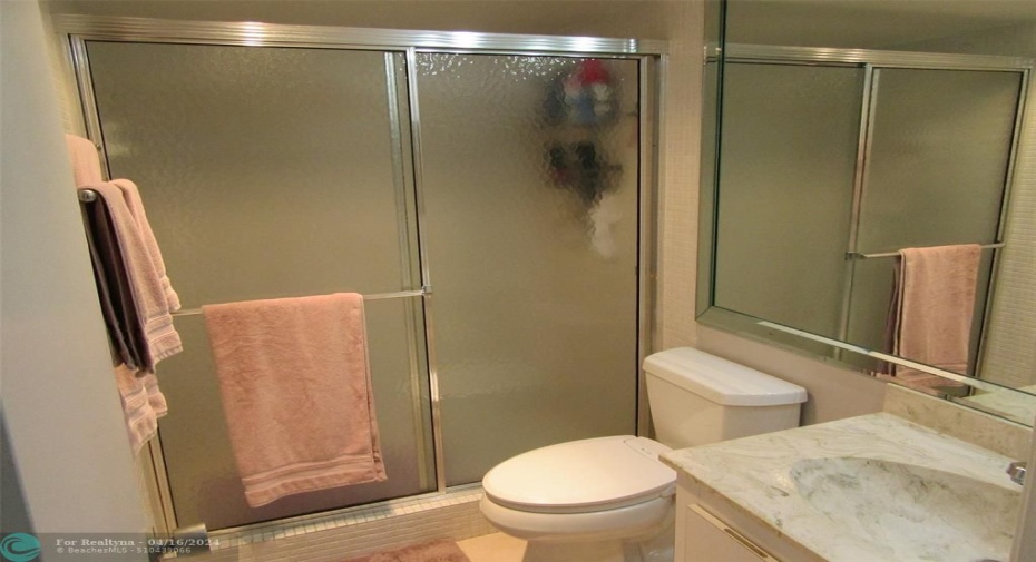 Guest Bath with walk-in shower