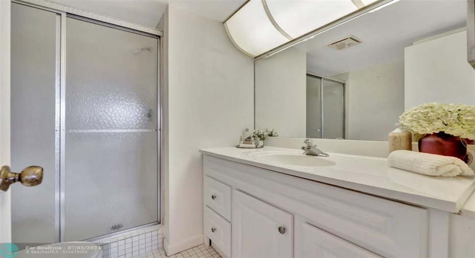 Primary bathroom with large vanity and shower.
