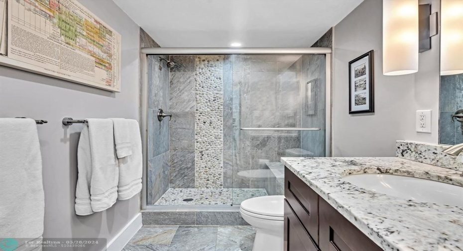 Large Guest Bathroom Shower