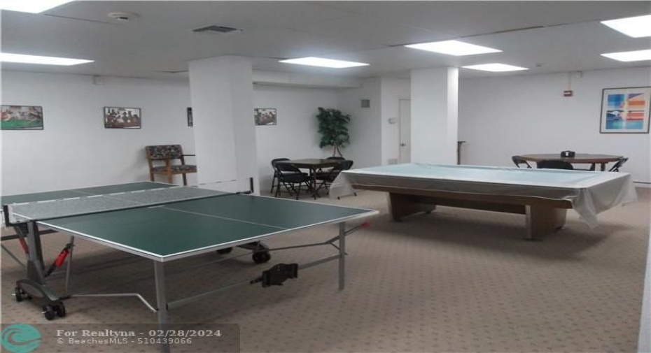 Owners game room