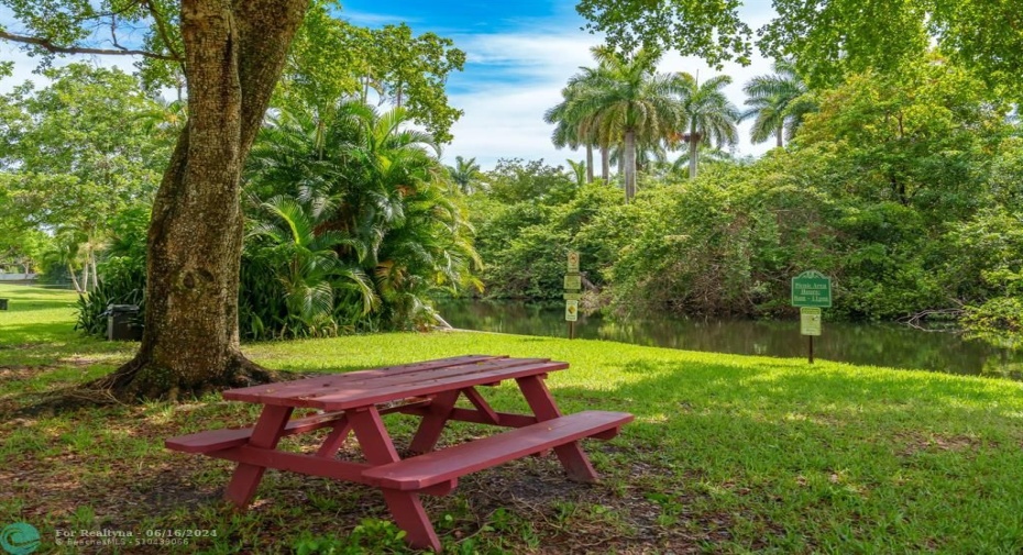 Have a picnic with nature right in Royal Park