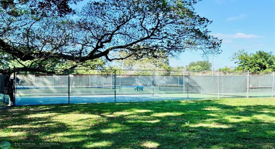 Tennis/Basquetball Courts