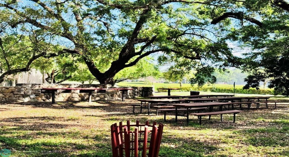 Picnic/BBQ