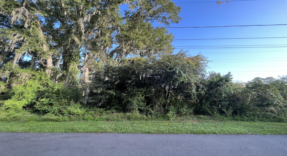 264 Toms Road, Debary, Florida 32713, ,C,For Sale,Toms,RX-10925169