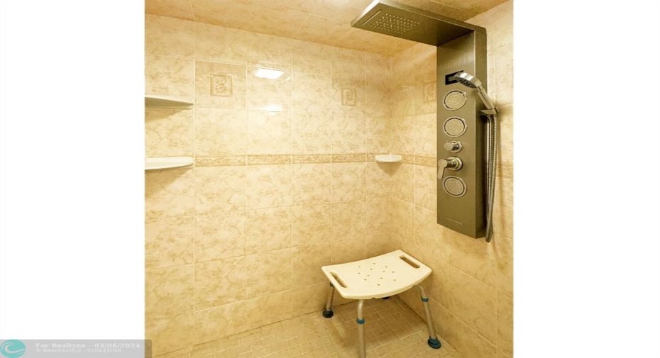 Unique Shower Fixture in Guest Bath.