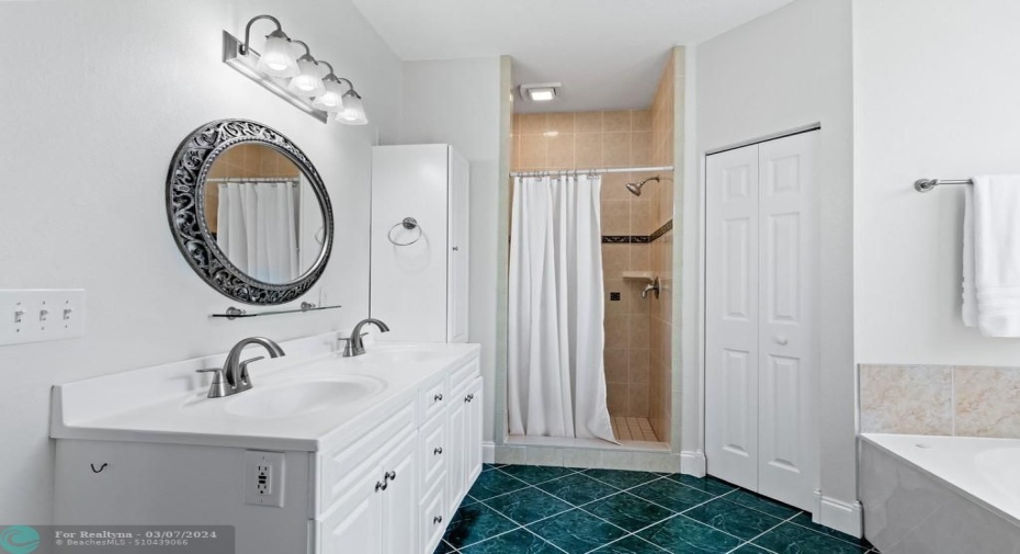 Master bathroom