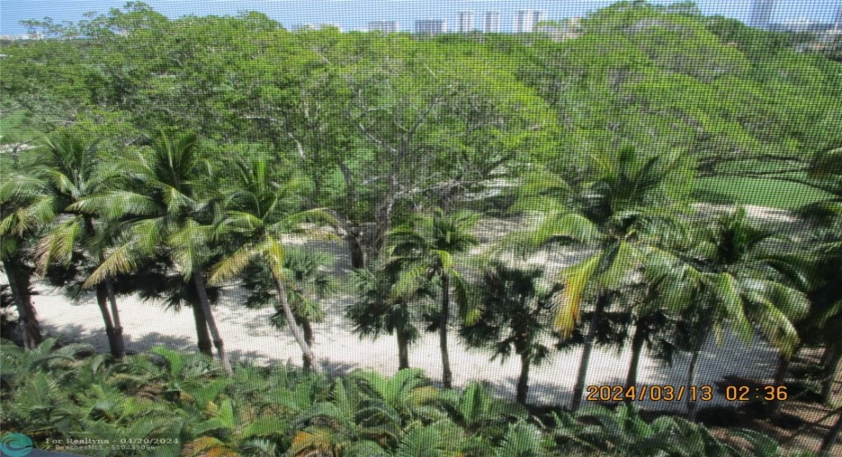 Terrace view of Shell Bay Resort pv memberbership golf cour