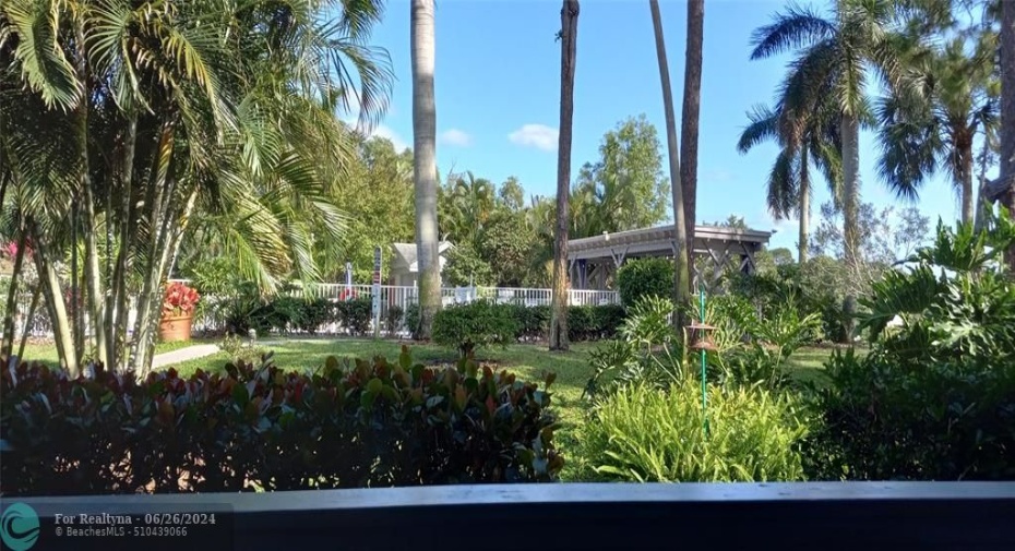 East view from patio of greenbelt and pool area.