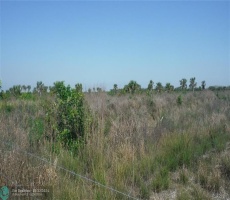 Commercial/business/agricultural/industrial Land For Sale