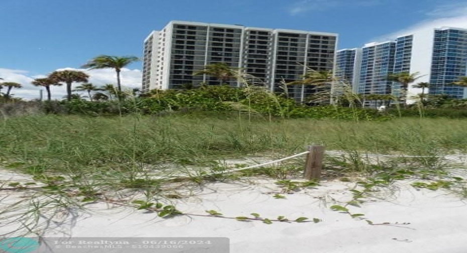Sand dunes & view of building from beach.