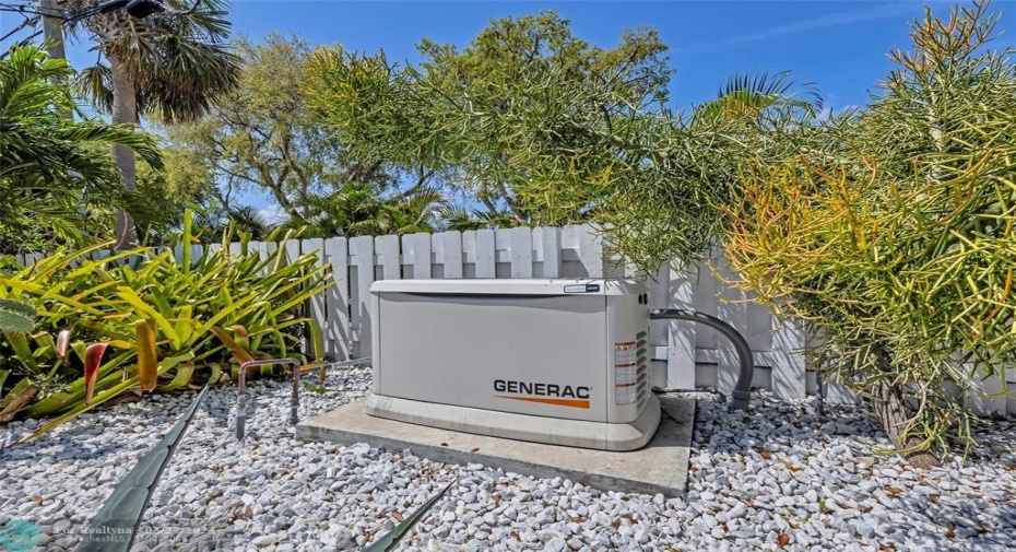 Whole house generator, GENERAC 22,000 watts