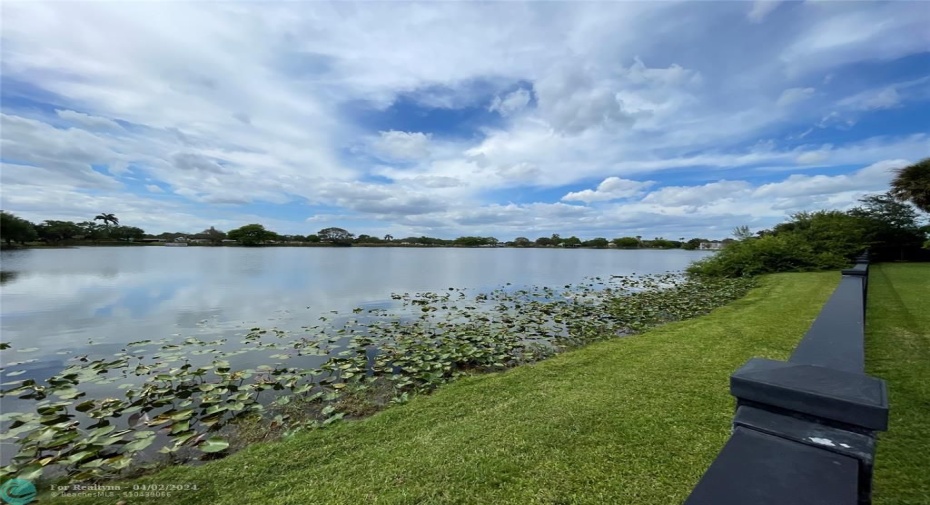 Park across the street with lakes