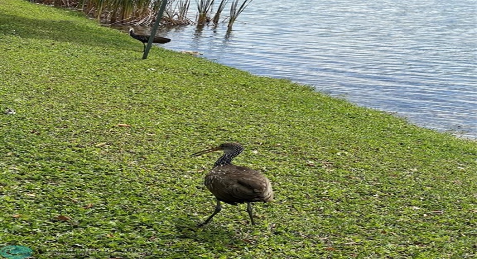 Plenty of wildlife at the parks