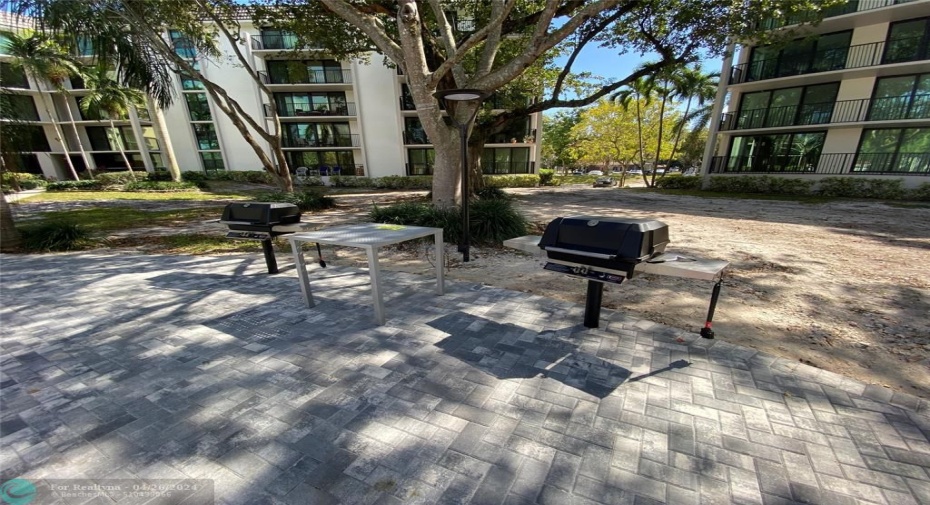 BBQ AND GRILL AREA