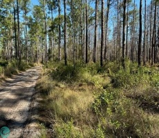 Residential Land/boat Docks For Sale