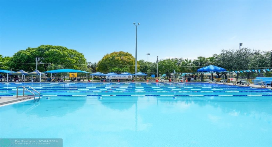 Olympic Size Swimming Pool!