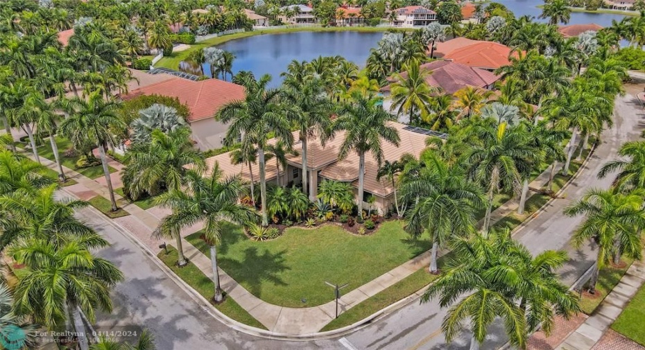 Huge corner lot, almost 15000 sf, flanked by majestic palms with outdoor lighting, in The Cove II, the most exclusive enclave of Savanna.