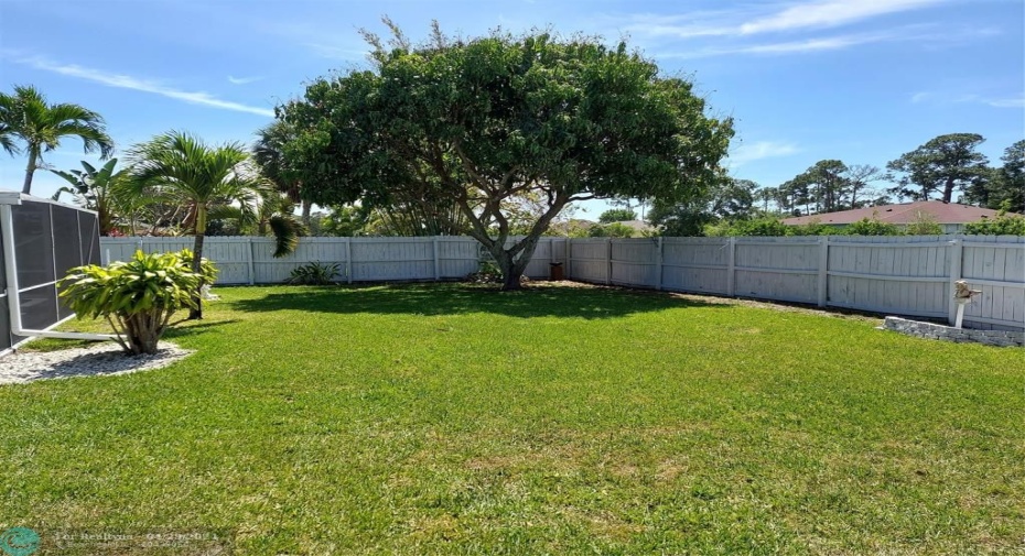 fenced-in back yard with mango fruit tree