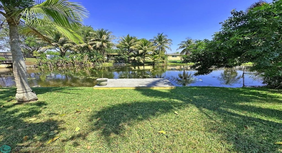 Large waterfront fenced yard with fruit trees.