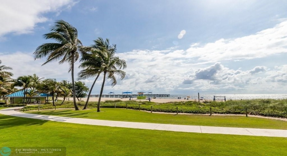 Enticing green space by the beach to relax