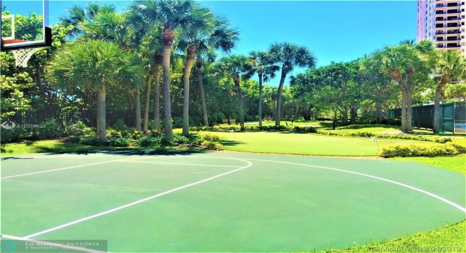 Basket ball, bocce ball, driving golf net, tennis courts, shuffle board and more!