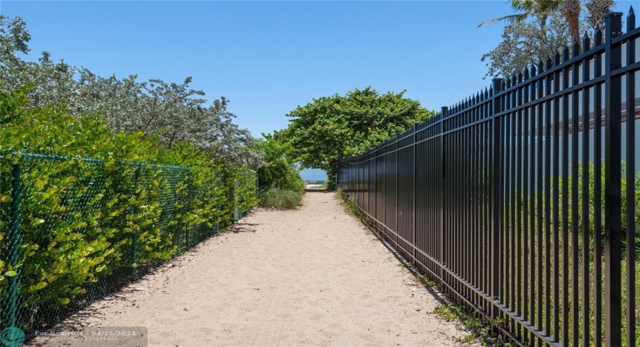 Pathway to the beach.