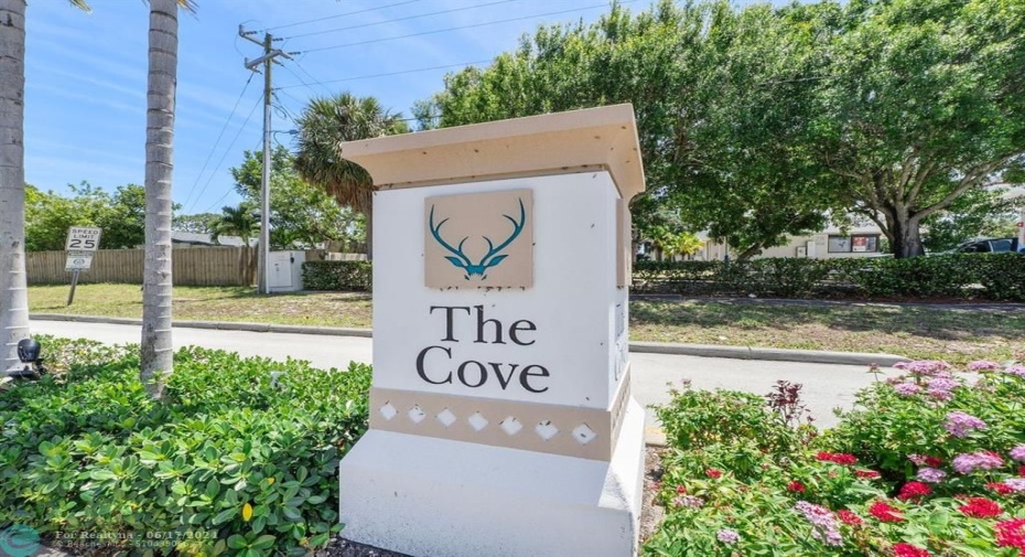 Welcome to The Cove!