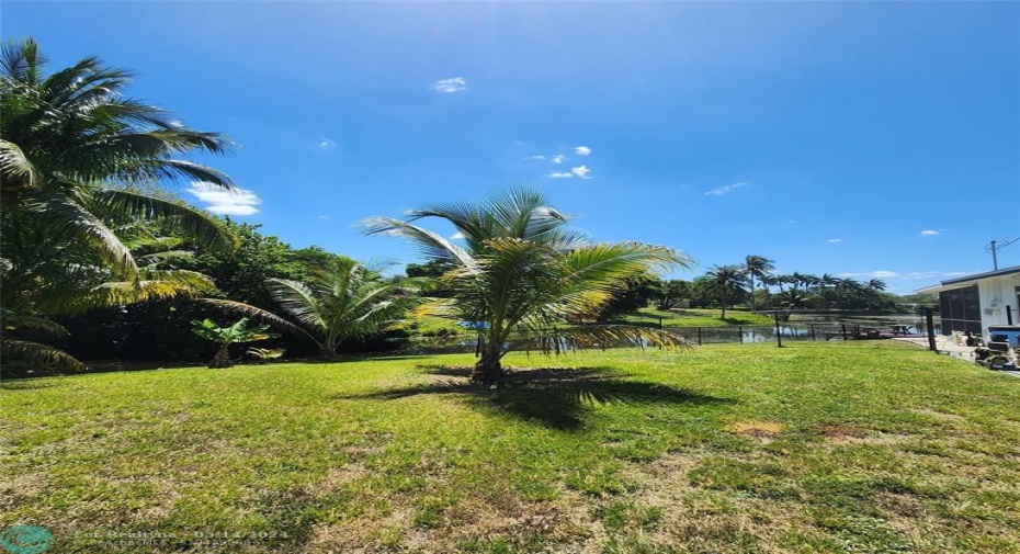 All this space is included, Lot has coconut trees and banana trees in the side yard!