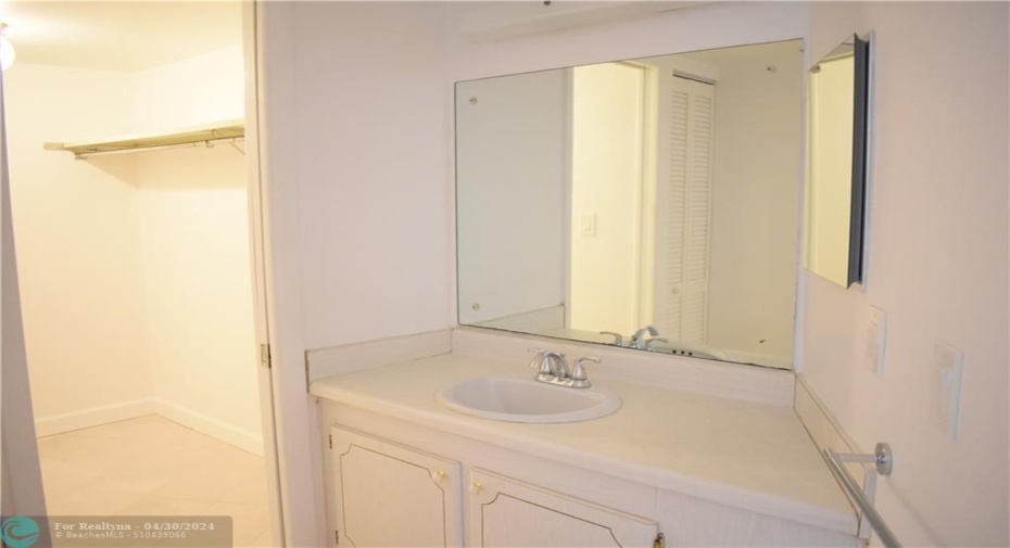 Bathroom vanity area and walk-in closet