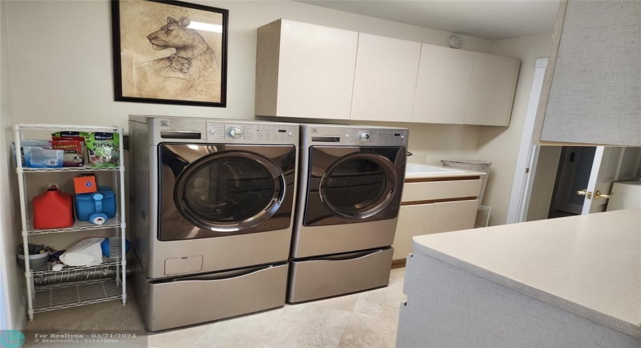 VERY LARGE LAUNDRY ROOM WITH HIGH END WASHER AND DRYER-CABINETS,THREE CLOSETS FOR EXTRA STORAGE.
