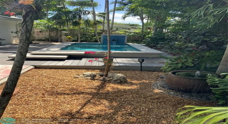 Back yard low maintenance and tropical