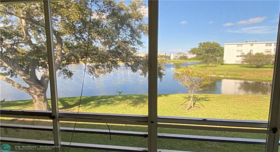 Lake View from Screen Patio